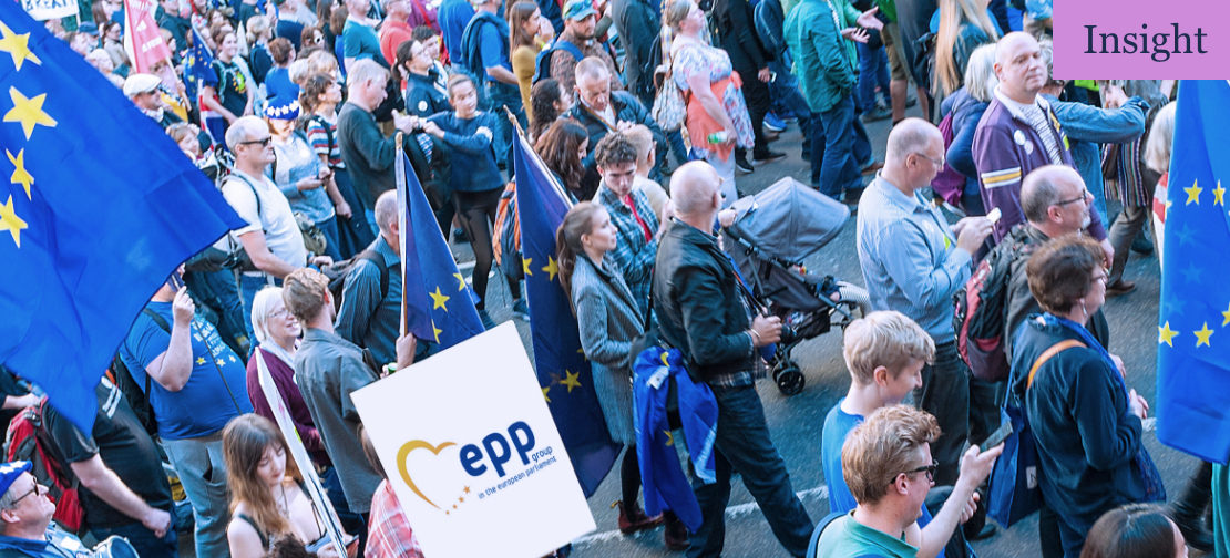EU elections demonstration publication image 